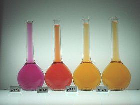 Carminic Acid Color / Cochineal Extract Color