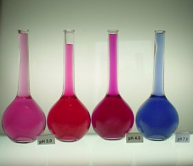 Red Cabbage Color